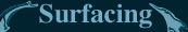 Surfacing.com
