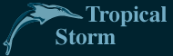 Click to order the Tsunami Plan